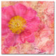 Cora Niele ''Peony - Feminine Beauty'' Canvas Art