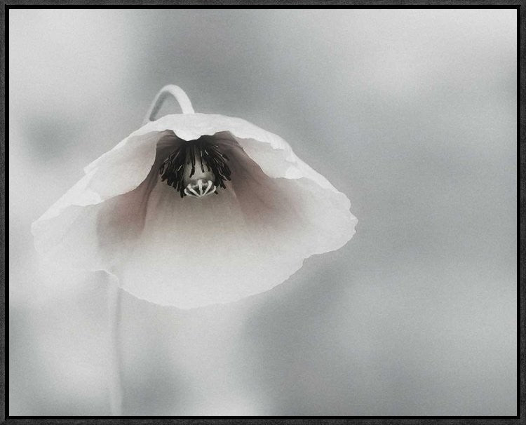 "Ephemeral Beauty" Framed Canvas Giclee by Piet Flour, 23x18"