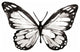 Watercolor Butterfly Peel And Stick Giant Wall Decals