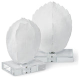 Turtle Shells On Crystal, Set of 2 Small