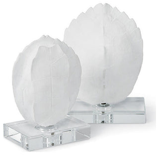 Turtle Shells On Crystal, Set of 2 Small