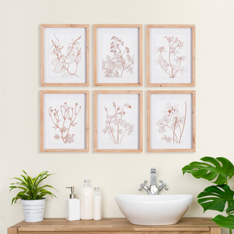 Botanicals, Blush Prints, Set of 6