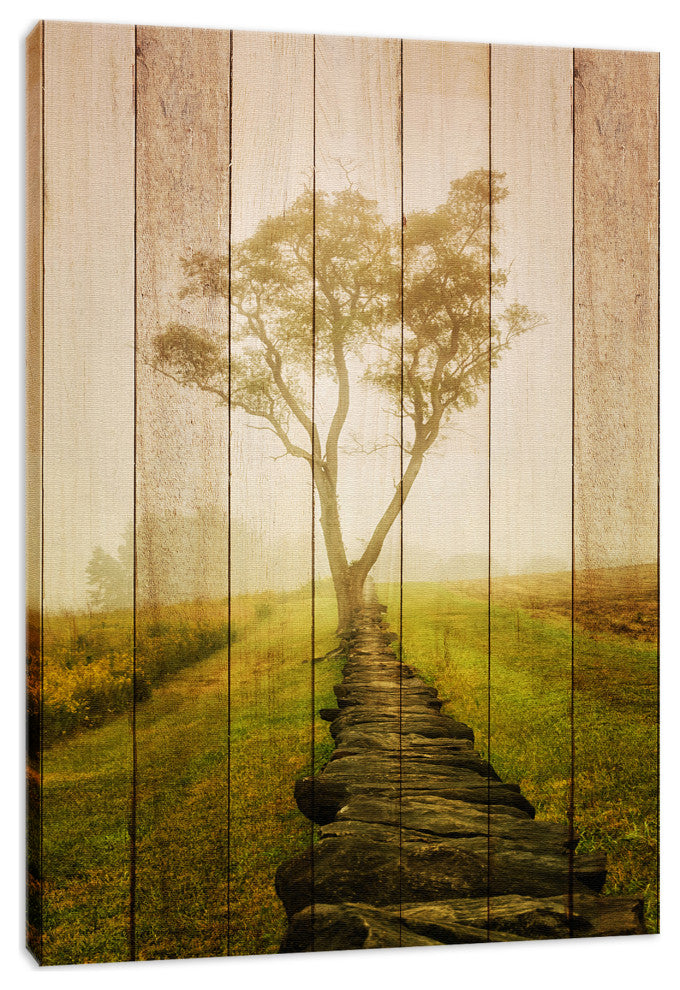 Faux Wood Calming Morning Landscape Photo Canvas Prints, 12" X 16"