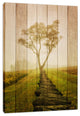 Faux Wood Calming Morning Landscape Photo Canvas Prints, 12" X 16"