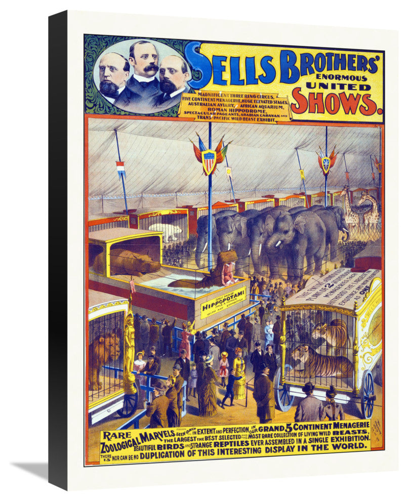 Sells Brothers' Enormous United Shows,, Rare Zoological Marvels, 1895, 16x22