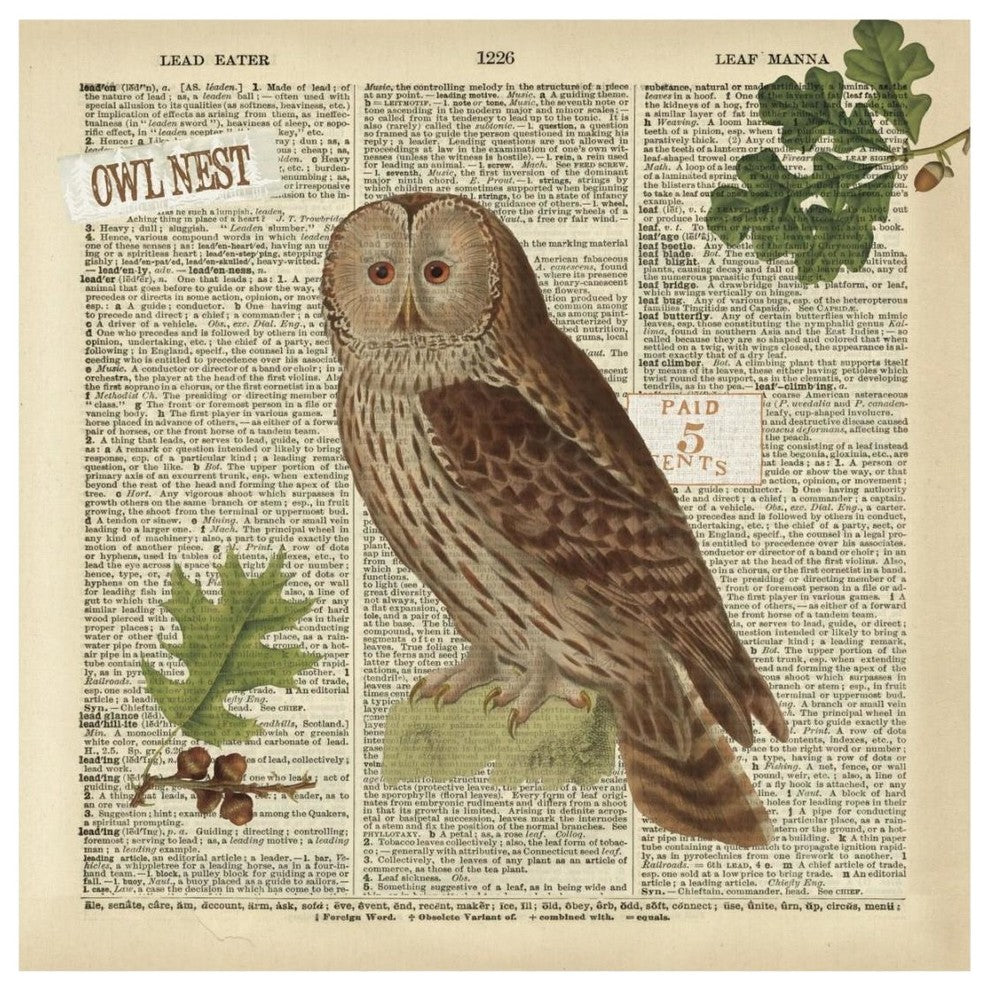 "Lodge Collage I" Digital Paper Print by Katie Pertiet, 20"x20"