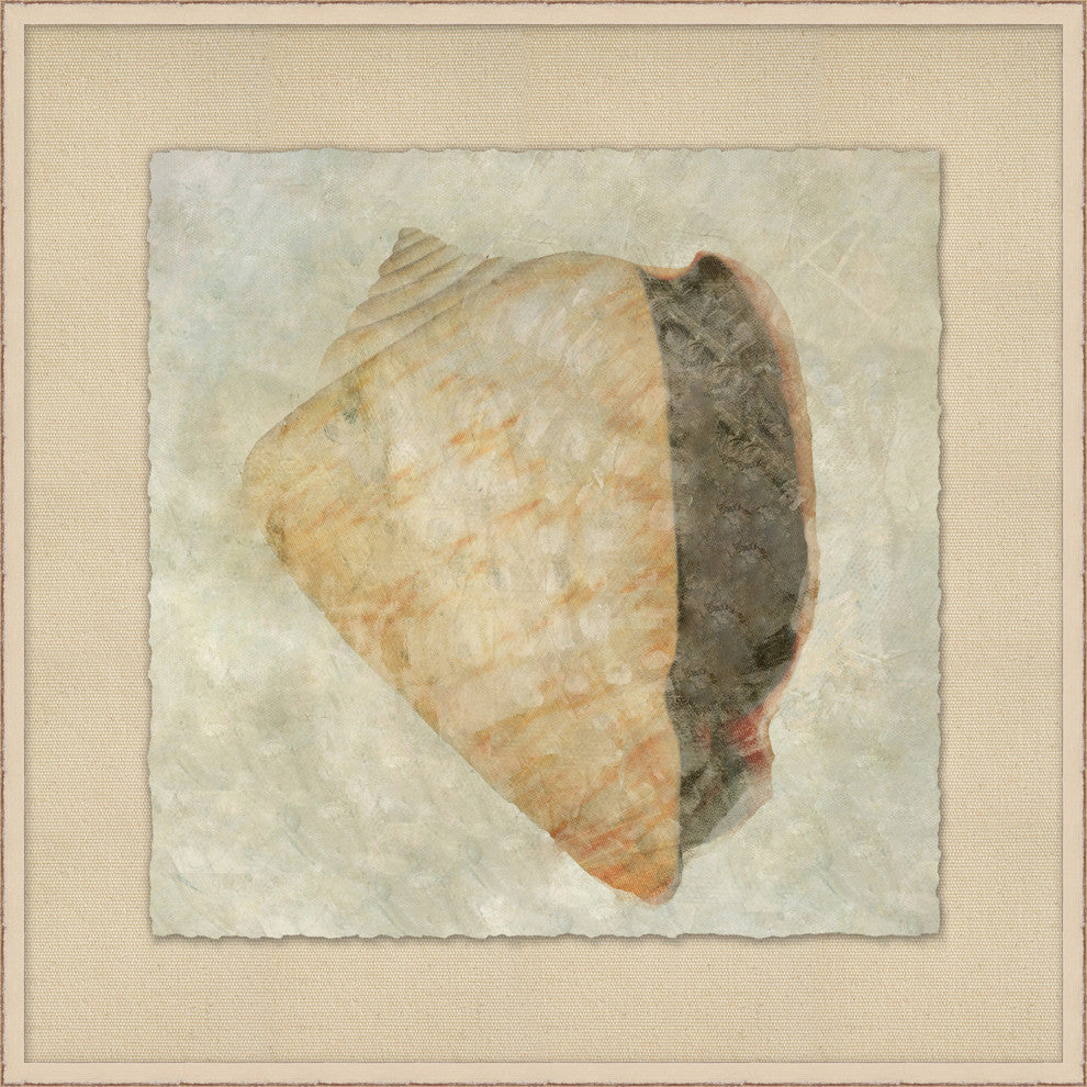 Watercolor Shell 4, Giclee Reproduction Artwork