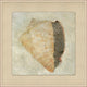 Watercolor Shell 4, Giclee Reproduction Artwork