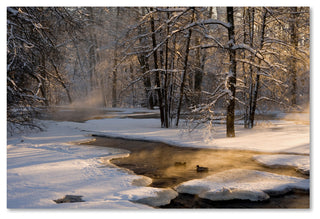 Robin Eriksson 'The First Light' Canvas Art, 12x19