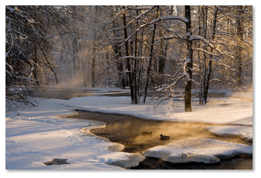 Robin Eriksson 'The First Light' Canvas Art, 12x19