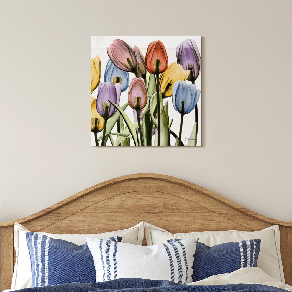 Tulip Scape X-Ray II Flower Wall Art on Frameless Free Floating Tempered Glass