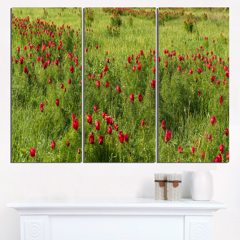 "Wild Peonies Flower in Steppe" Metal Wall Art, 3 Panels, 36"x28"
