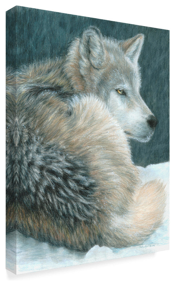 Carla Kurt ''Cold Evening'' Canvas Art