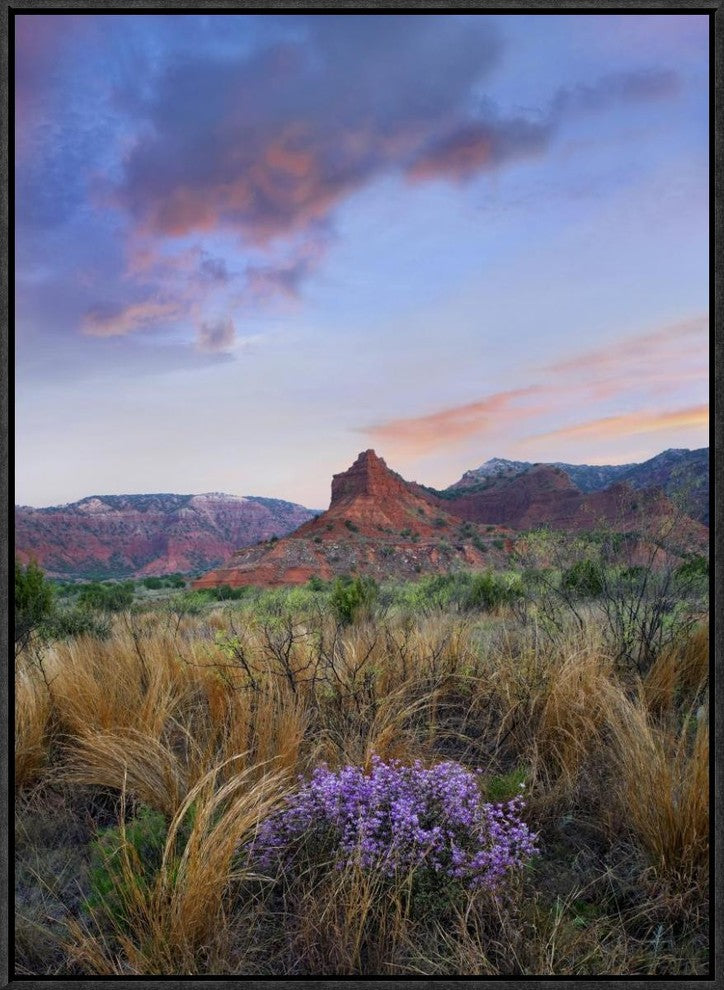 "Caprock Canyons State Park, Texas"  by Tim Fitzharris, 19x25"