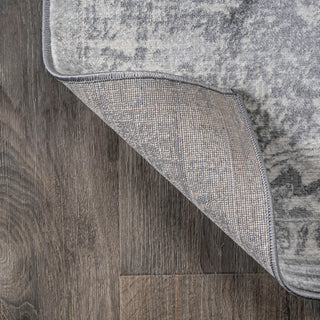 Modern Persian Vintage Medallion Light Gray 3'x5' Area Rug