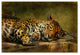 'Wake Up, Sleepyhead' Canvas Art by Lois Bryan