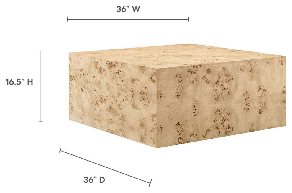 MODWAY Cosmos 36" Square Burl Wood Coffee Table