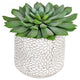 Vickerman FH191106 6" Artificial Green Potted Succulent, Pack of 2