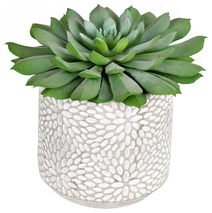 Vickerman FH191106 6" Artificial Green Potted Succulent, Pack of 2