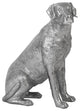 Labrador, Liquid Silver