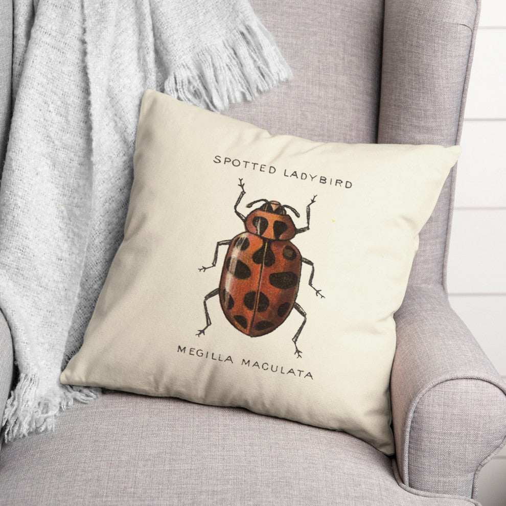 Vintage Ladybug Diagram 18x18 Spun Poly Pillow