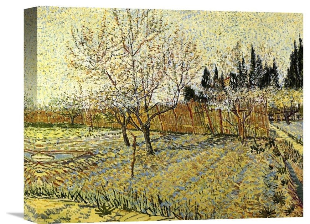 "Orchard Springtime" Stretched Canvas Giclee by Vincent Van Gogh, 16"x13"