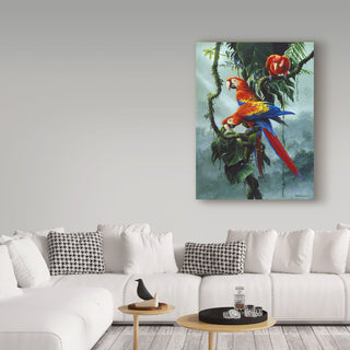 Harro Maass 'Red And Yellow Macaws' Canvas Art, 19"x14"