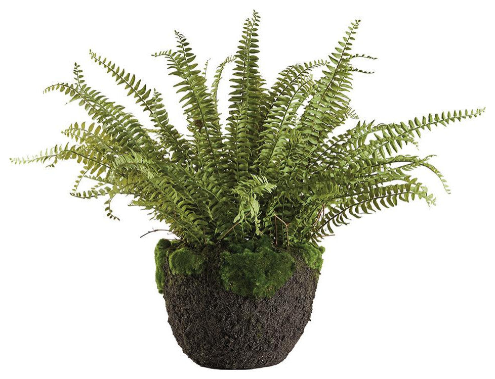 Luxe X Large Boston Fern Faux Floral Artificial Plant Large 30 in Drop In Leaves
