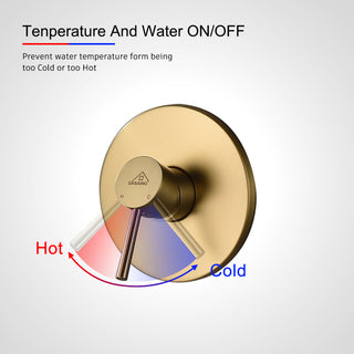 CASAINC 10" Round Wall Mounted Rainfall Luxury Shower System Kit, Brushed Gold