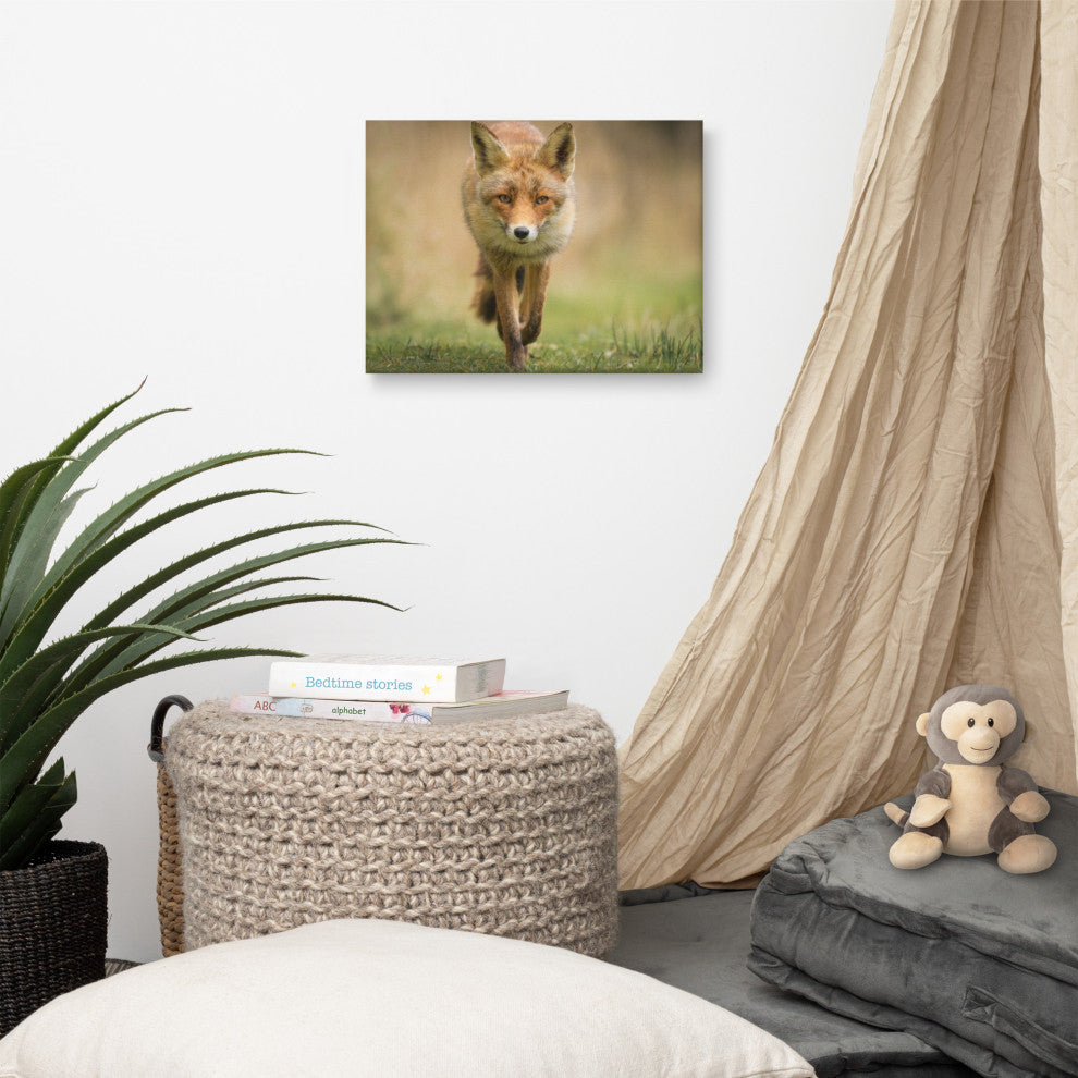 Young Female Red Fox In Forest Animal Wildlife Photograph Canvas Wall Art Print, 12" X 16"
