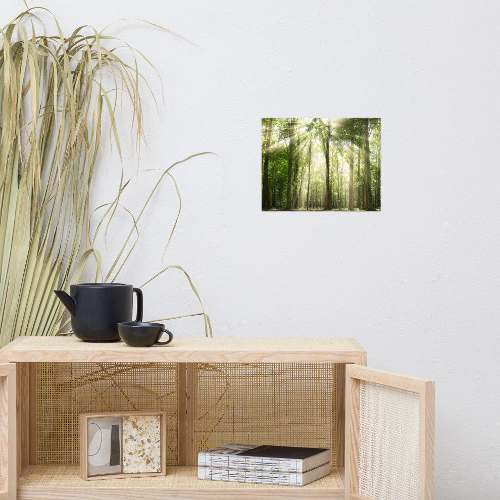 Sun Rays Through Treetops Landscape Photo Unframed Wall Art Print, 11" X 14"