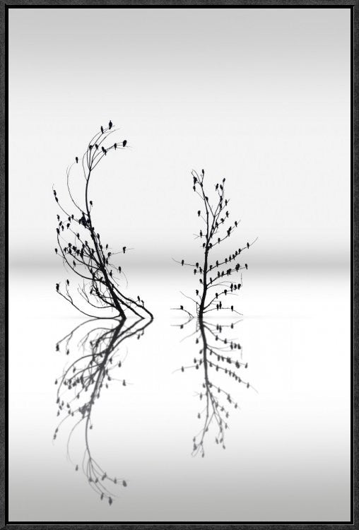 "Trees With Birds (2)" Framed Canvas Giclee by George Digalakis, 17x25"