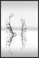 "Trees With Birds (2)" Framed Canvas Giclee by George Digalakis, 17x25"