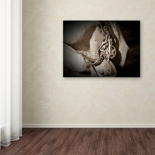 Dan Ballard 'Colorado' Canvas Art, 32"x24"