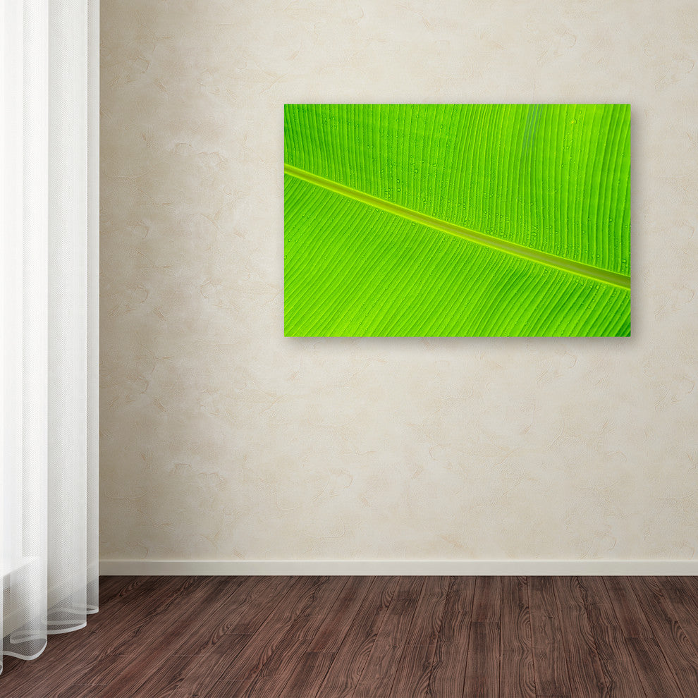 Cora Niele ''Leaf Texture II'' Canvas Art