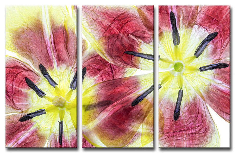 Ready2HangArt 'Tulips' 3-Piece Canvas Wall Decor Set, 60"x40"
