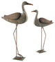 Pair of Flamingos