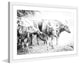 Marmont Hill, "Bovine Herd" Framed Painting Print, 18x12
