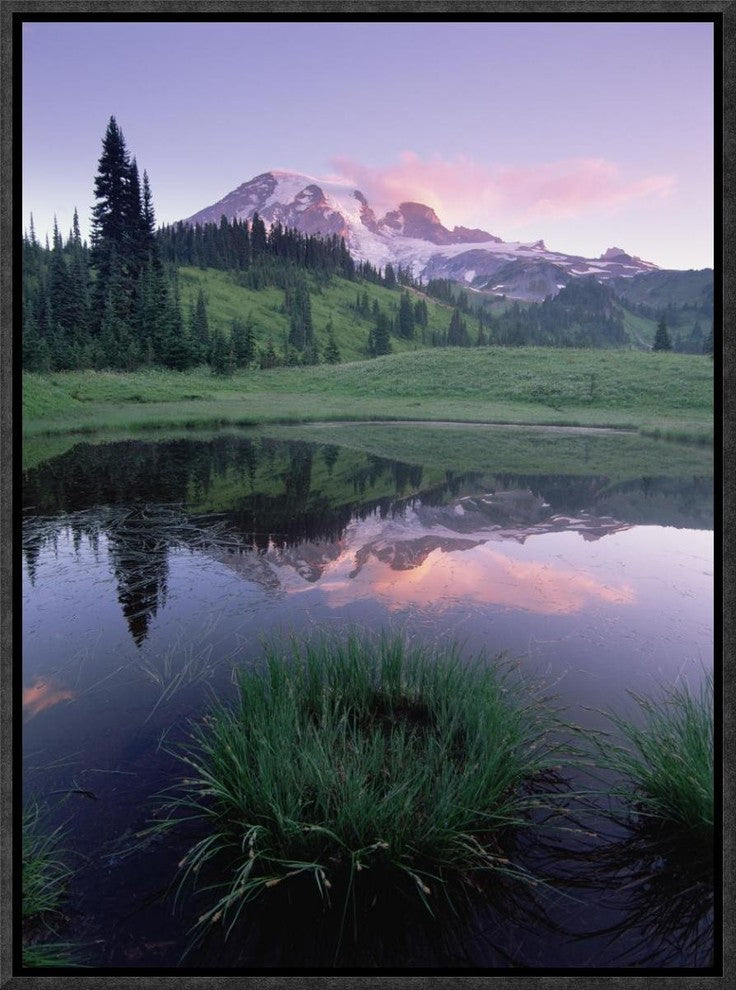 Mt Rainier Reflected In Lake, Mt Rainier National Park, Washington, 12"x16"