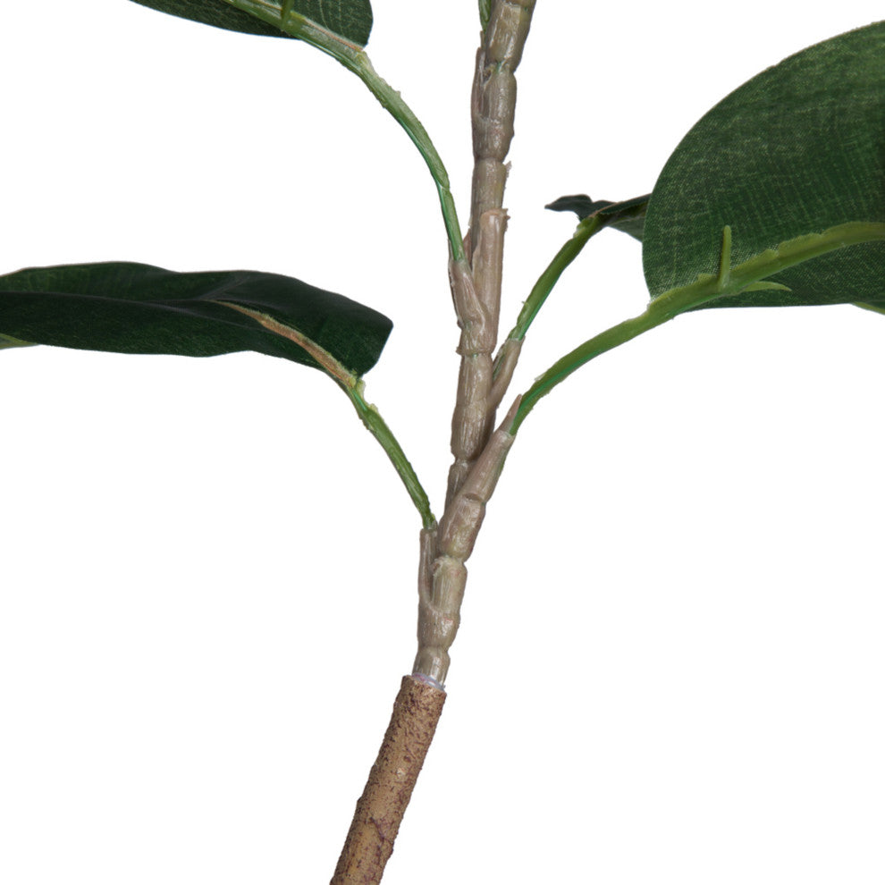 Close-up of trunk/branch area on white background.