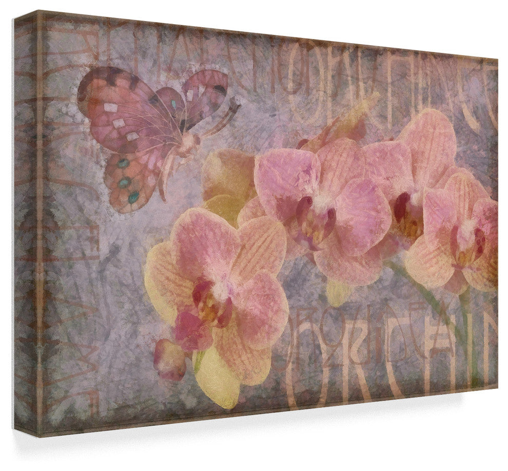 "Orchid Ii" by Cora Niele, Canvas Art, 16"x24"