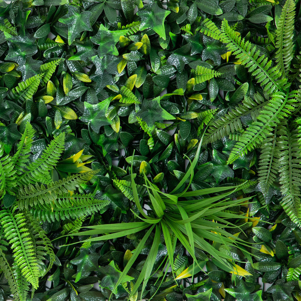 Other: close-up of leaves with grid backing, not a white or lifestyle setting.