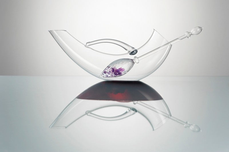 VitaJuwel Wine Decanter With Vino Wand Set