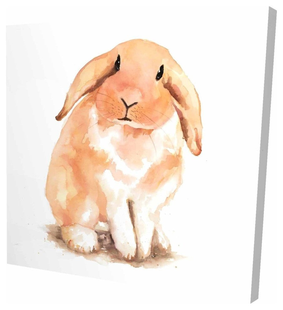Fuzzy Lop Rabbit, Fine Art Gallery Wrapped Canvas, 24"x24"