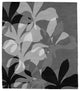 Blossom Gray Rug, 6' Square