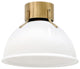 Hinkley Argo Small Flush Mount, Heritage Brass With Cased Opal Glass