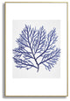 Gal Design Seaweed 9 Metal Framed Art Print