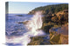 "Atlantic Coast Near Thunder Hole, Acadia National Park, Maine" Artwork