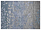 Machine Washable Indoor/Outdoor Chantille ACN1900 Denim 1'8" x 2'6" Rug