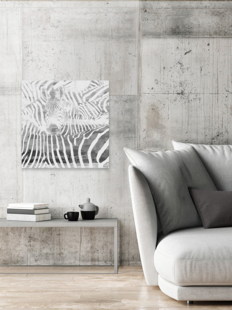 "Zebra Stare" Print on Canvas, 48"x48"